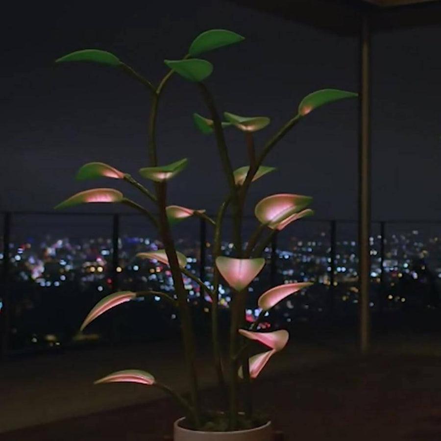Magical Houseplant LED Night Light - Image 11