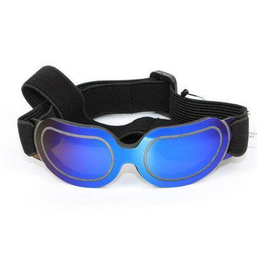 Cool Pet Fashion Helmet & Riding Cap - Image 10