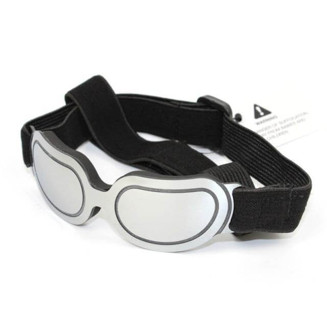 Cool Pet Fashion Helmet & Riding Cap - Image 11