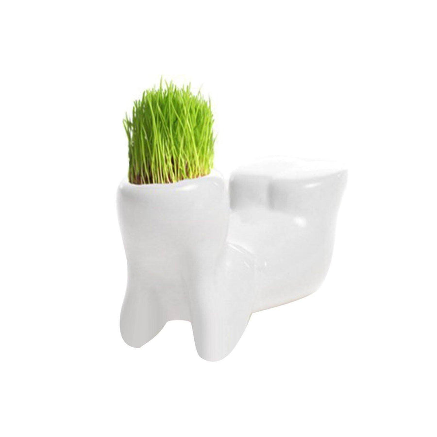 Ceramic Mini Grass Hair Pot - Image 13
