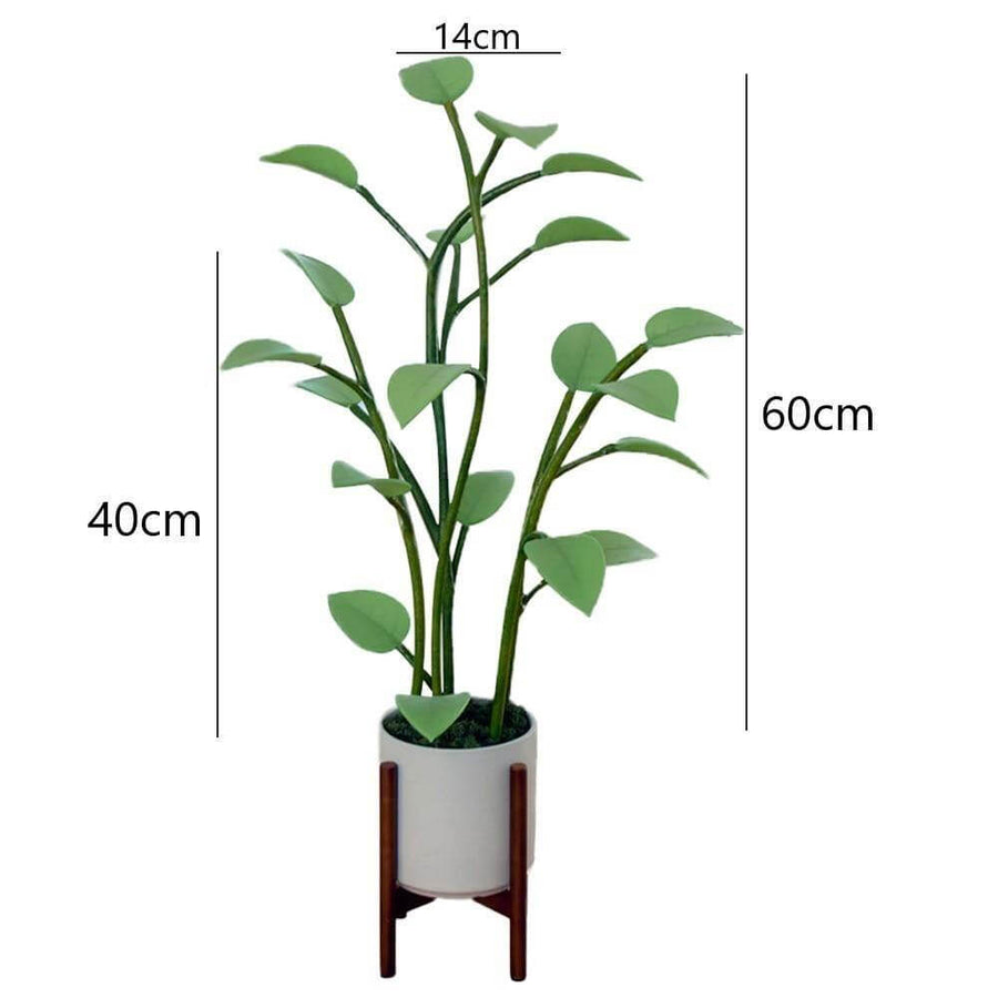 Magical Houseplant LED Night Light - Image 2