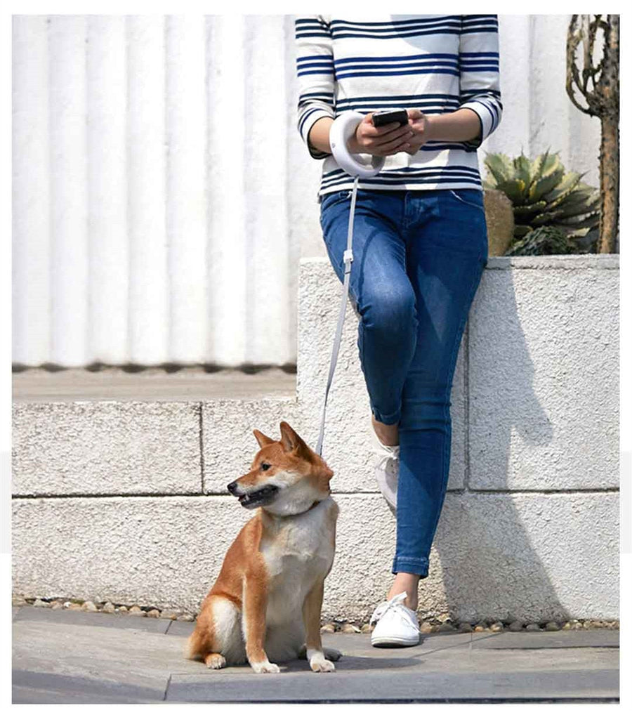 UFO Retractable Rechargeable LED Pet Leash - Image 3