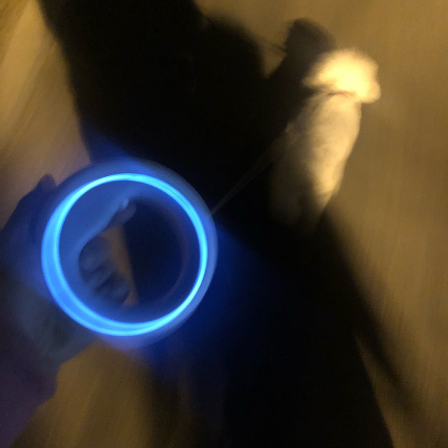 UFO Retractable Rechargeable LED Pet Leash - Image 4