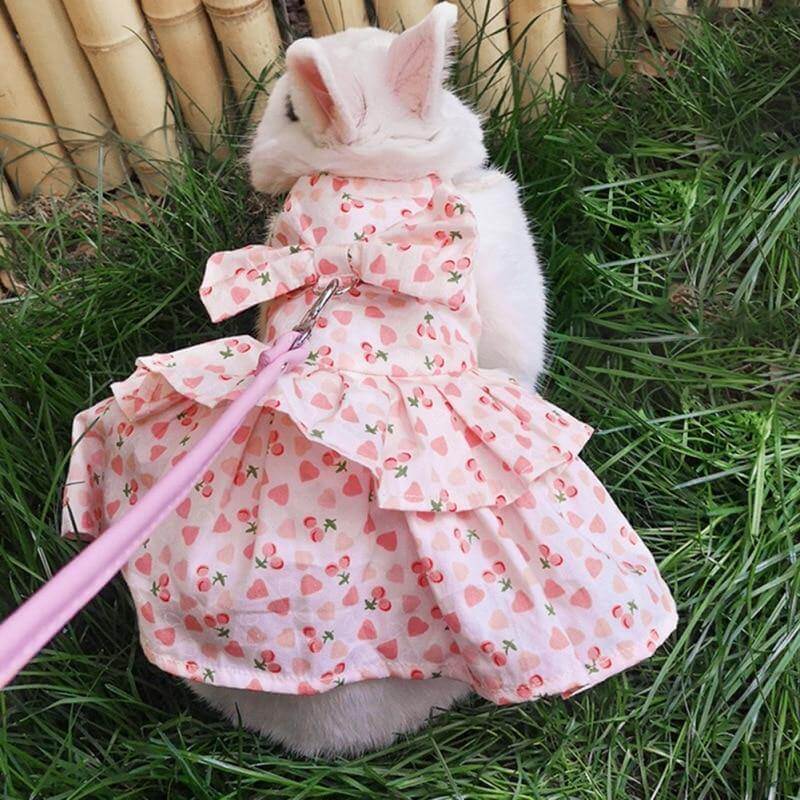 Rabbit Cute Jean Dress - Image 5