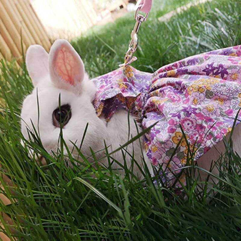 Rabbit Cute Jean Dress - Image 4
