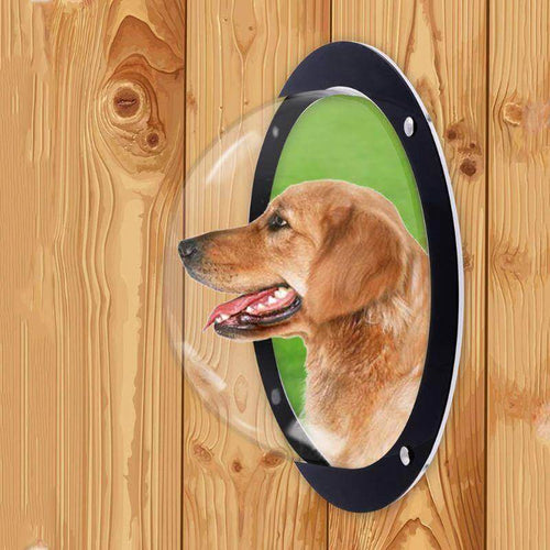 Transparent Durable Pet Fence Window - Image 0