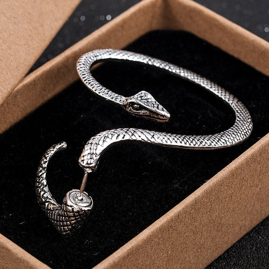 Twining Snake Punk Style Earrings - Image 1