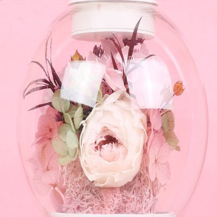 Magnetic Floating Immortal Flower Vase Lamp - Image 9