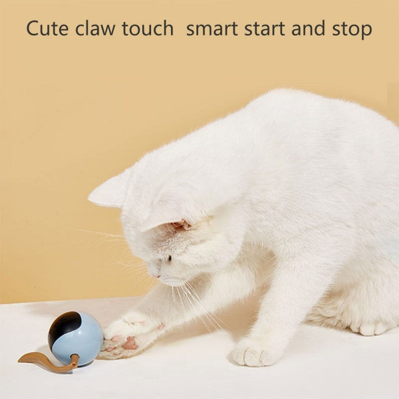 Self Rotating Cat Toy - Image 1