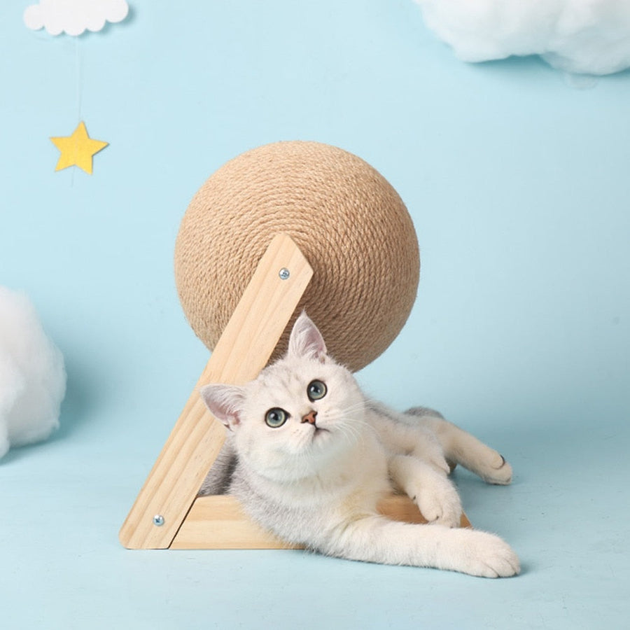 Cat Scratching Ball Toy - Image 5