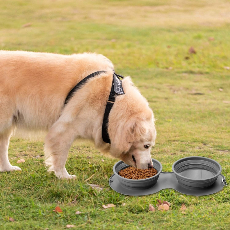 Foldable Travel Pet Double Feeding Bowl - Image 8