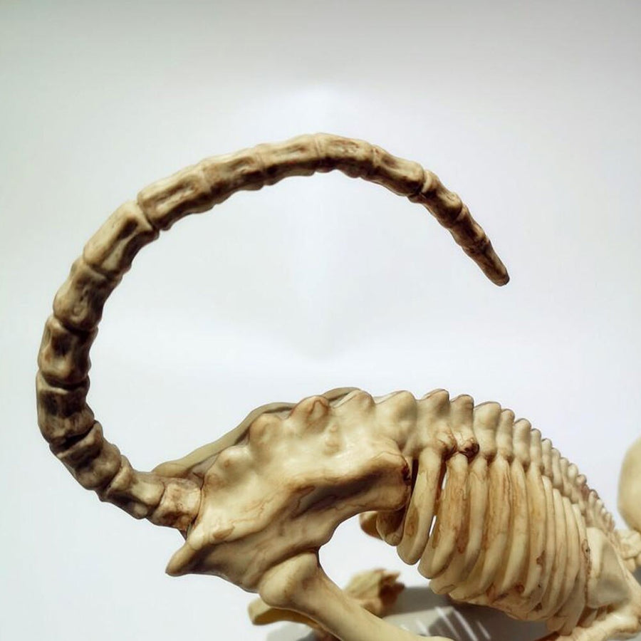Skeleton Pet Figurines - Image 4