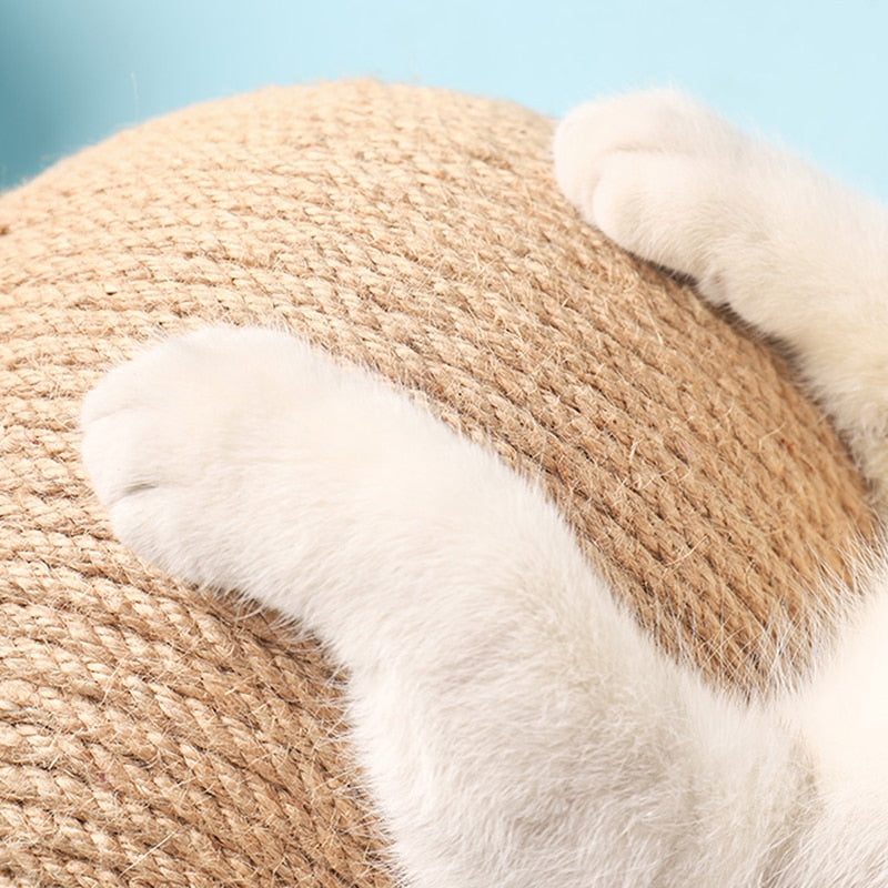Cat Interactive Toy Scratcher Ball - Image 1