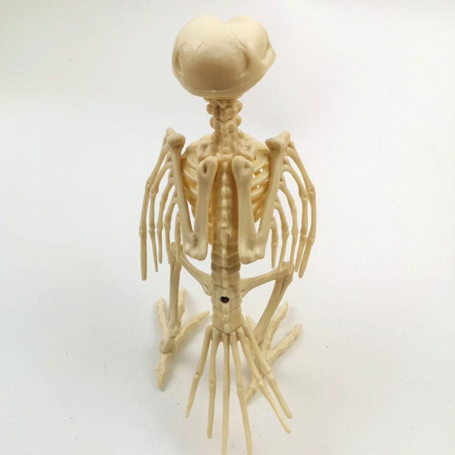 Skeleton Pet Figurines - Image 14