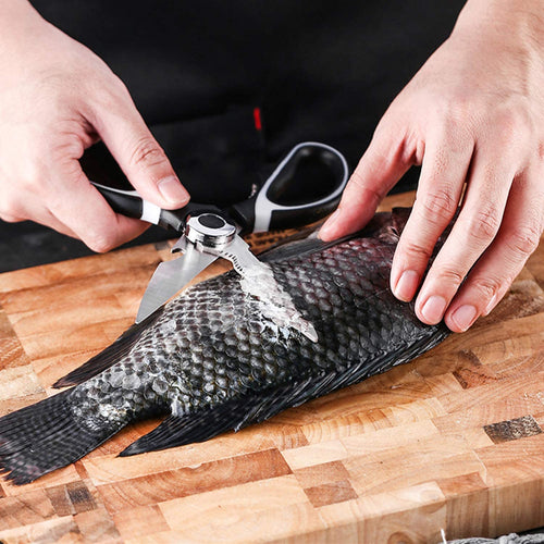 Multipurpose Kitchen Scissor with Bottle Opener - Image 1