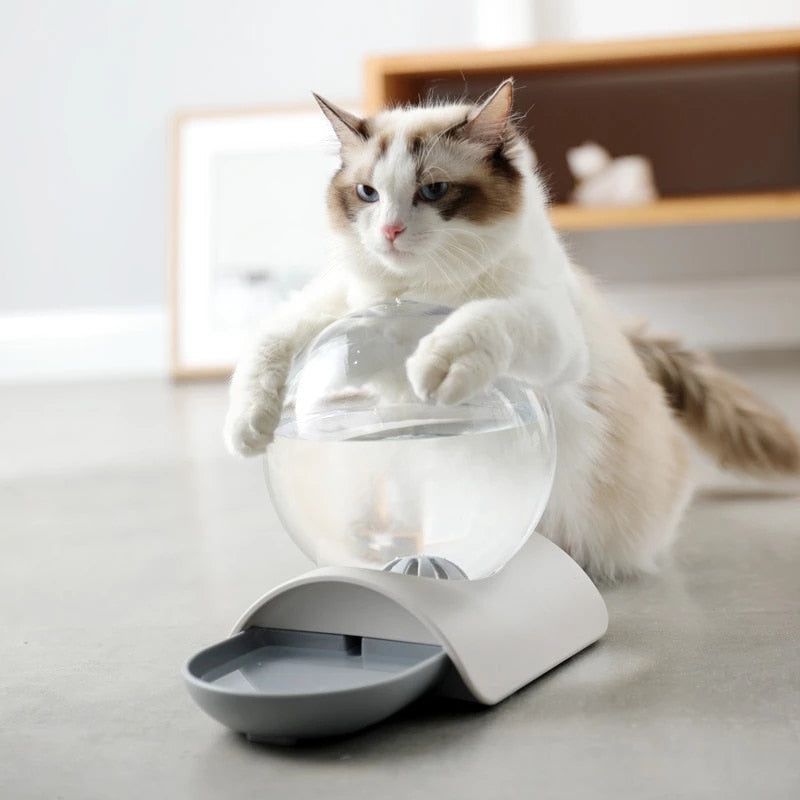 Bubble Automatic Pet Water Feeder - Image 2
