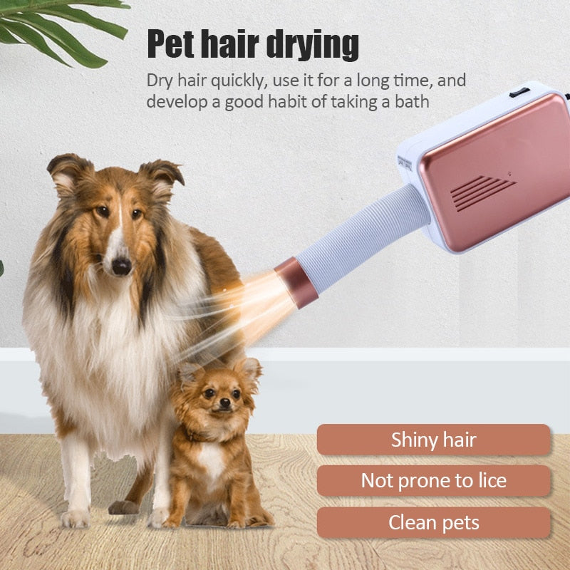 Portable Electric Fan Rotating Dryer - Image 3
