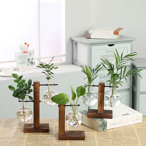 Terrarium Hydroponic Vintage Tabletop Vase - Image 0