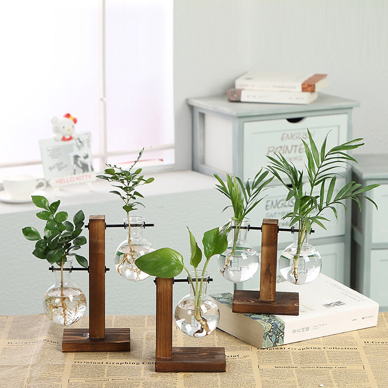 Terrarium Hydroponic Vintage Tabletop Vase - Image 0