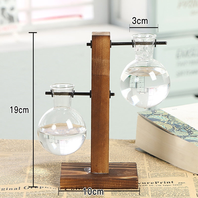 Terrarium Hydroponic Vintage Tabletop Vase - Image 4