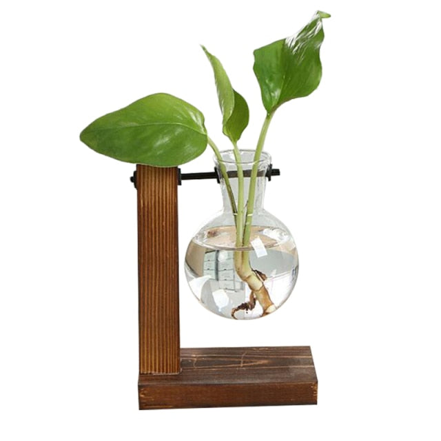 Terrarium Hydroponic Vintage Tabletop Vase - Image 5