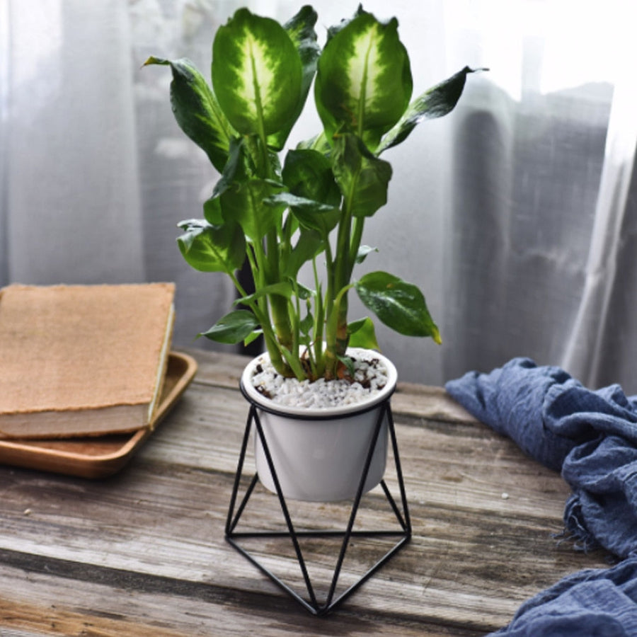 Nordic Style Geometric Iron Rack Flower Pots - Image 4