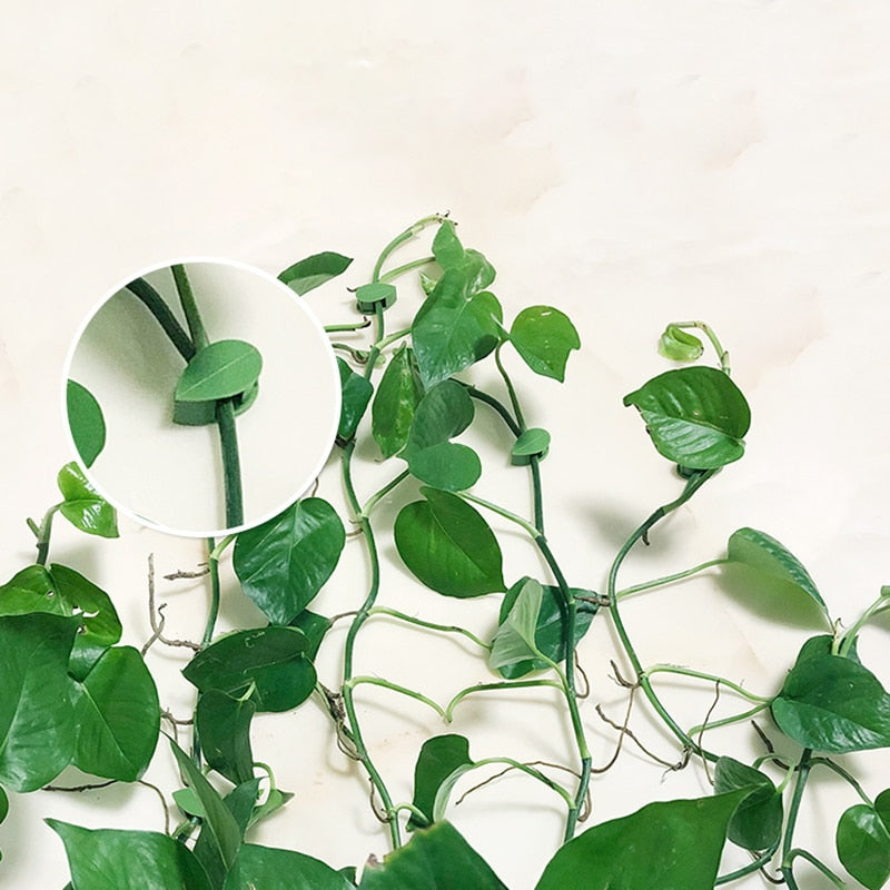 10pcs Leaf Shape Self-Adhesive Hook - Image 1
