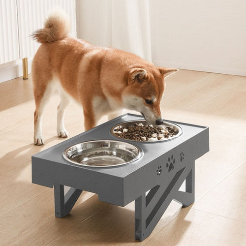 Adjustable Pet Double Food Bowl - Image 0