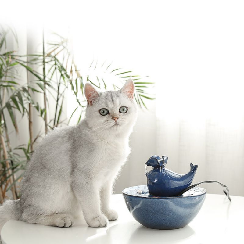 Automatic Circulating Pet Water Dispenser - Image 2