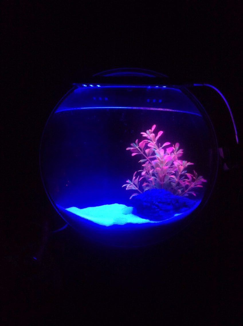 Wall-Mounted Modern Acrylic Fish Tank - Image 5