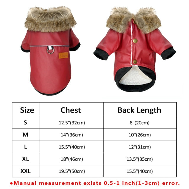 Cool Cute Leather Pet Jacket - Image 12
