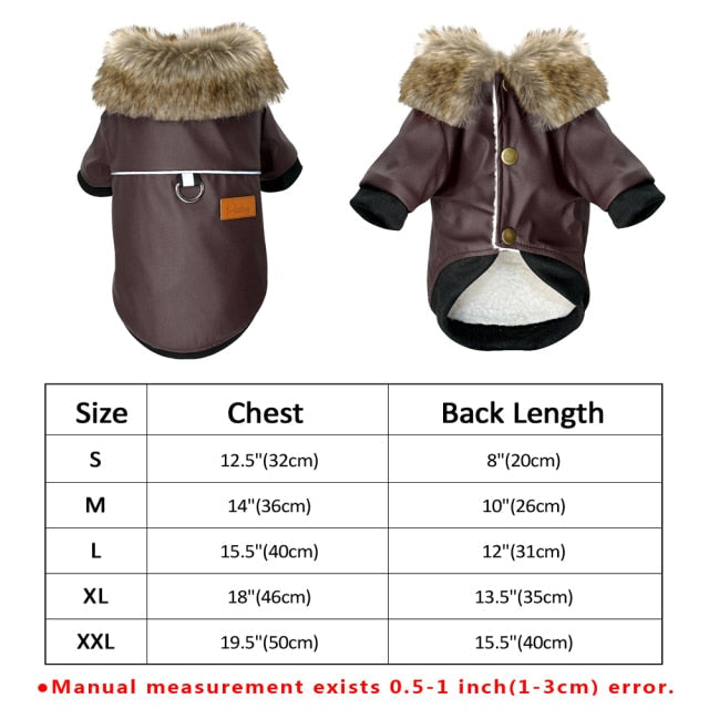 Cool Cute Leather Pet Jacket - Image 8