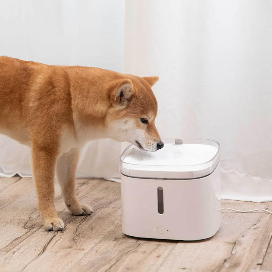Smart Automatic Pet Water Dispenser - Image 0