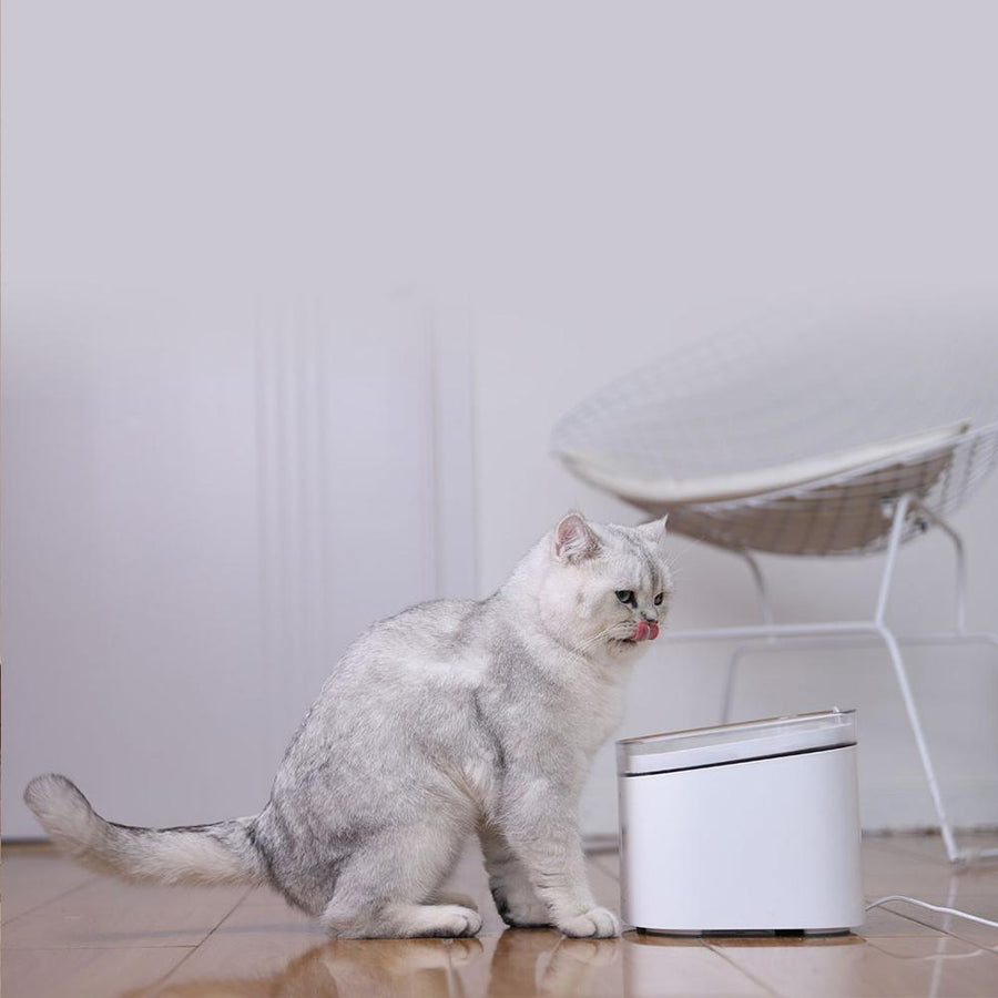 Smart Automatic Pet Water Dispenser - Image 3