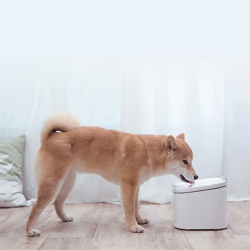 Smart Automatic Pet Water Dispenser - Image 1
