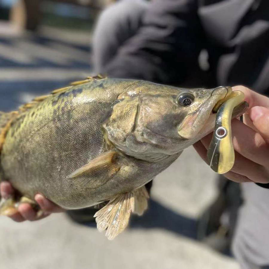 Realistic Reflective Soft Fishing Artificial Bait - Image 6