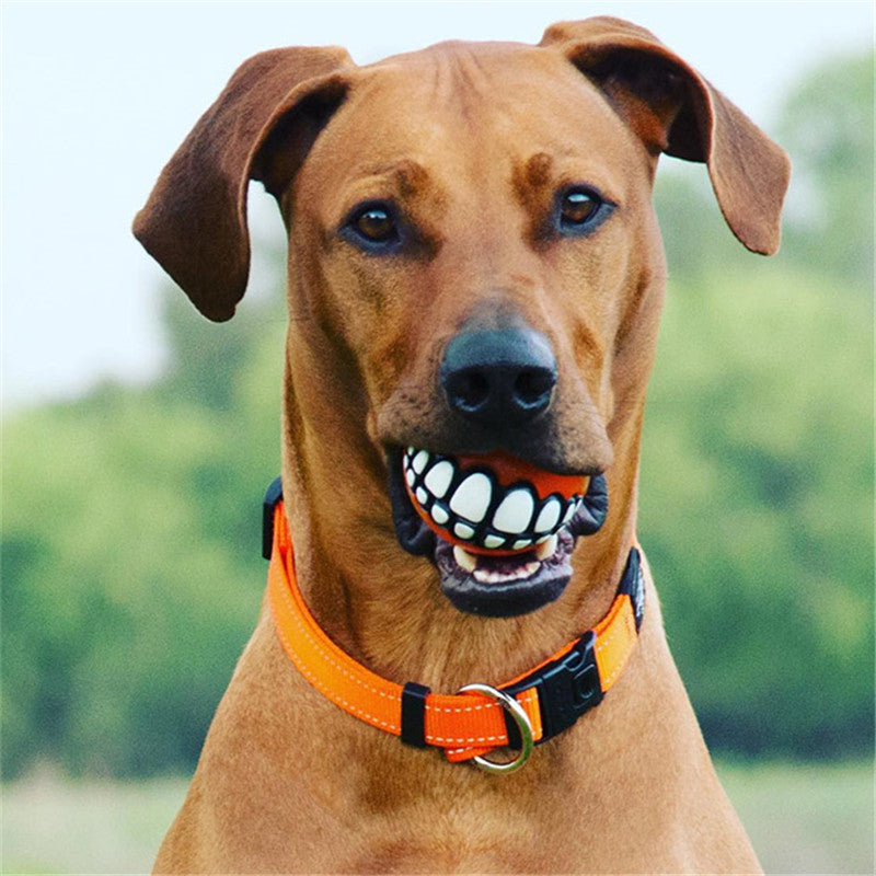 Funny Smile Rubber Pet Chew Toys - Image 0