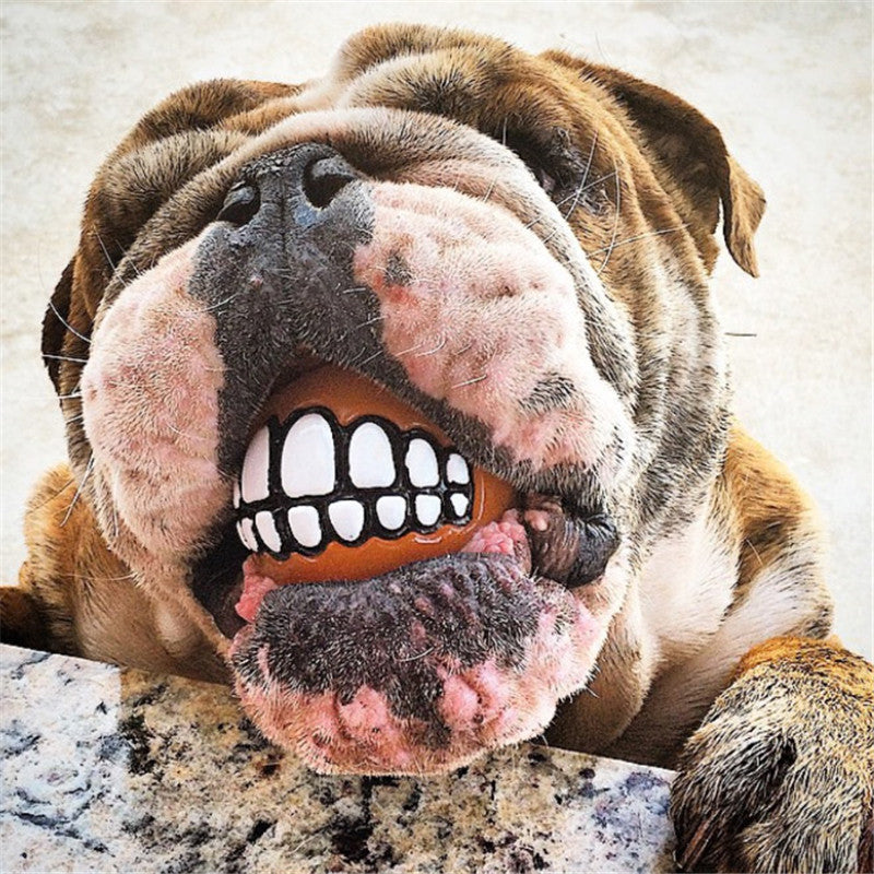 Funny Smile Rubber Pet Chew Toys - Image 1