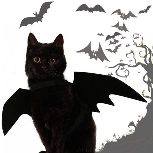 Pet Costume Bat Wing - Image 0