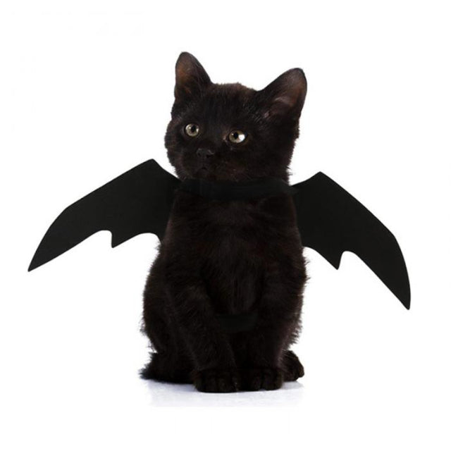 Pet Costume Bat Wing - Image 6
