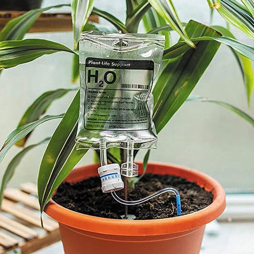 Plant Parenthood