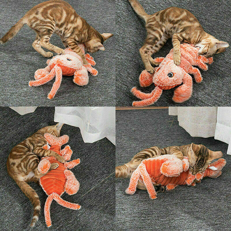Cat Floppy Interactive Lobster Plush Toy - Image 1