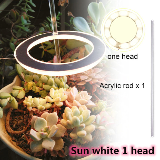 5V Phytolamp LED Plant Light - Image 11