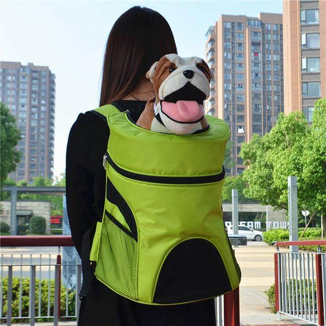 Sport Travel Portable Pet Carrier - Image 1