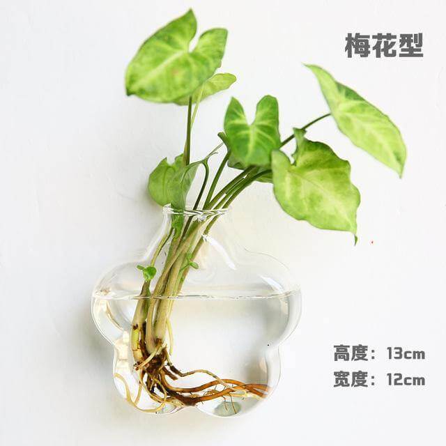 Handmade New Hexagonal Wall Clear Terrarium Vase - Image 2