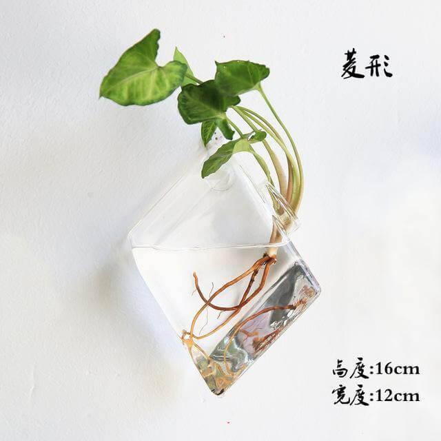Handmade New Hexagonal Wall Clear Terrarium Vase - Image 1