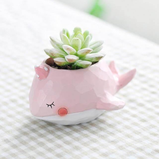 Creative Animals Mini Decorative Flower Pots - Image 5