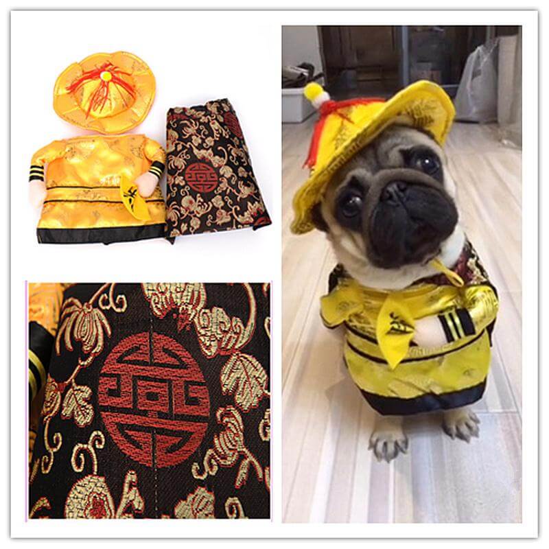 Golden King Empire Cosplay Pet Costumes - Image 1
