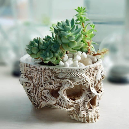 Hand Carved Skull Flower Pot Home Decoration - Image 0