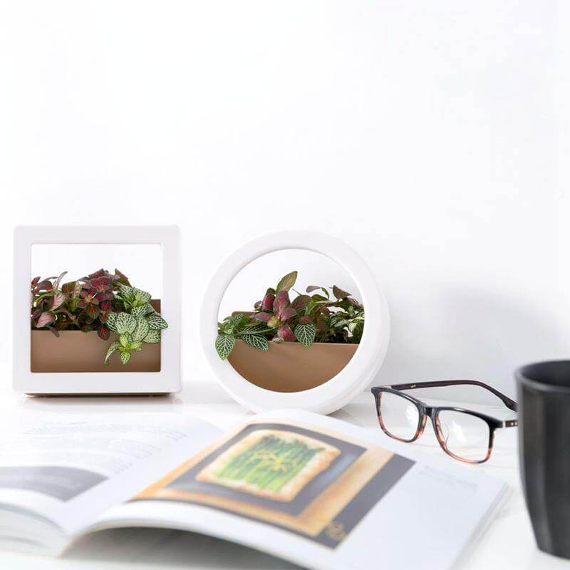 2 Pcs/Lot Wall Hanging Plant Pot - Image 4